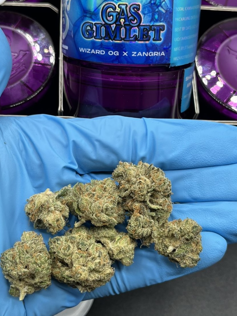 wizard trees