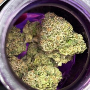 wizard trees
