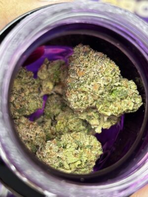 wizard trees