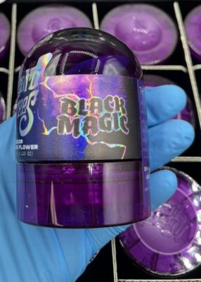 black magic wizard trees